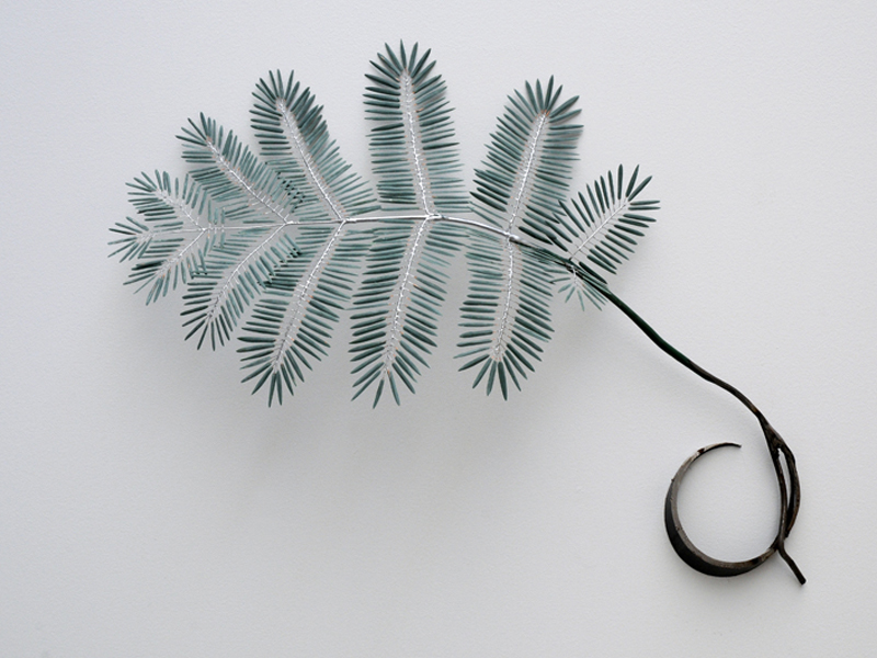 Trill_Detail